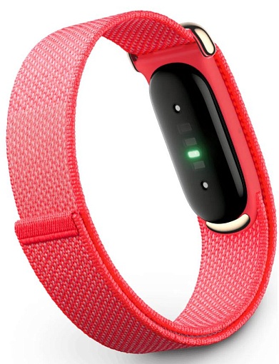 Фитнес-браслет Google Fitbit Air, Berry Pink