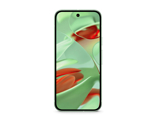 Смартфон Google Pixel 9 12/128Gb Wintergreen