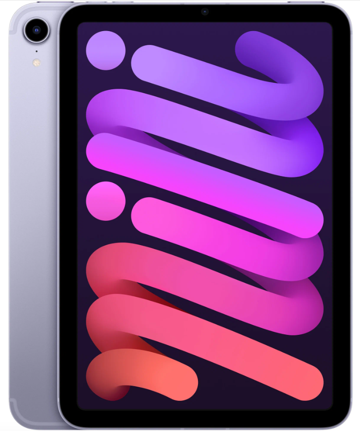 Планшет Apple iPad mini (2021) 256Gb Wi-Fi, фиолетовый в Челябинске купить по недорогим ценам с доставкой