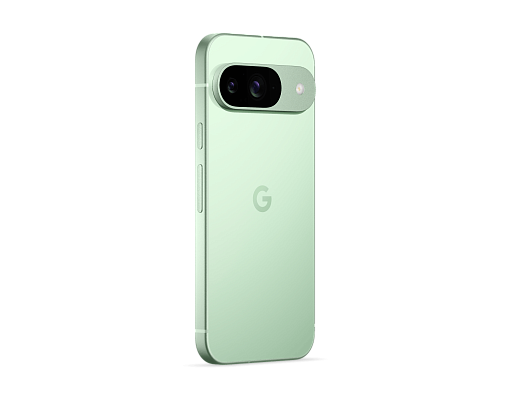 Смартфон Google Pixel 9 12/128Gb Wintergreen