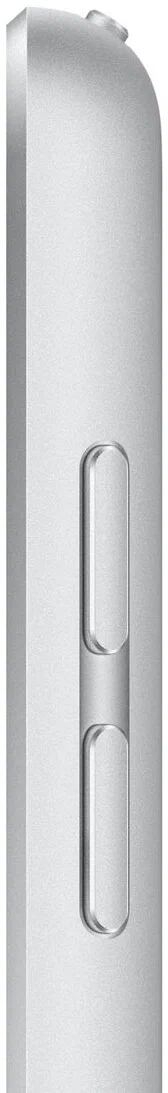 Планшет Apple iPad (2021) 256Gb Wi-Fi, Silver (EU) в Челябинске купить по недорогим ценам с доставкой