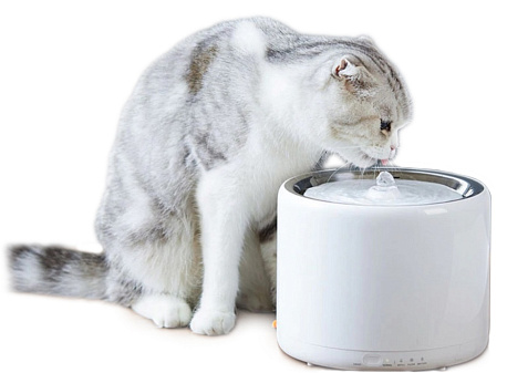 Поилка Xiaomi Smart Water Dispenser Eversweet 3 в Челябинске купить по недорогим ценам с доставкой