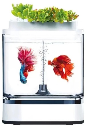Аквариум 1.5 л Xiaomi Descriptive Geometry C300 Mini Fish Tank в Челябинске купить по недорогим ценам с доставкой