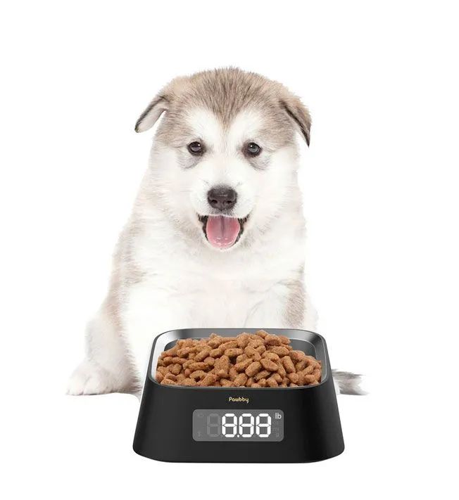 Умная миска для кошек и собак Xiaomi Pawbby Smart Pet Bowl в Челябинске купить по недорогим ценам с доставкой