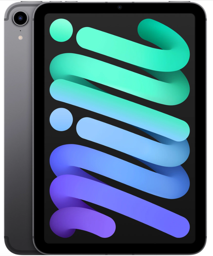 Планшет Apple iPad mini (2021) 64Gb Wi-Fi, серый космос в Челябинске купить по недорогим ценам с доставкой