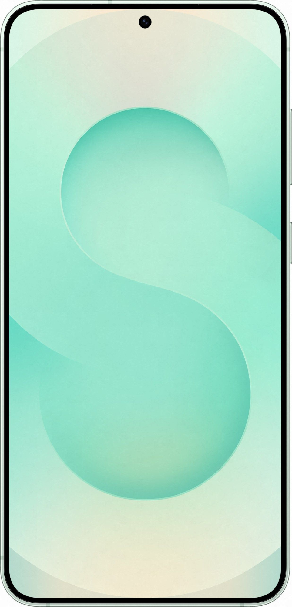 Смартфон Samsung Galaxy S25+ 12/256Gb, мятный в Челябинске купить по недорогим ценам с доставкой