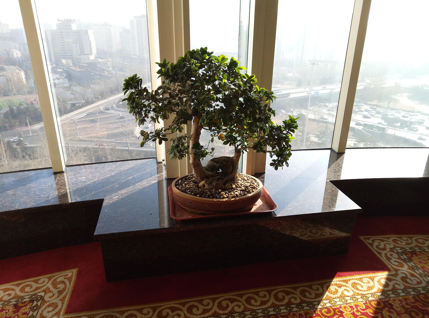 Xiaomi Redmi 10C - Больше возможностей, меньше затрат